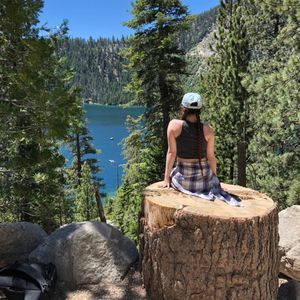 Meet your Posher, Merry